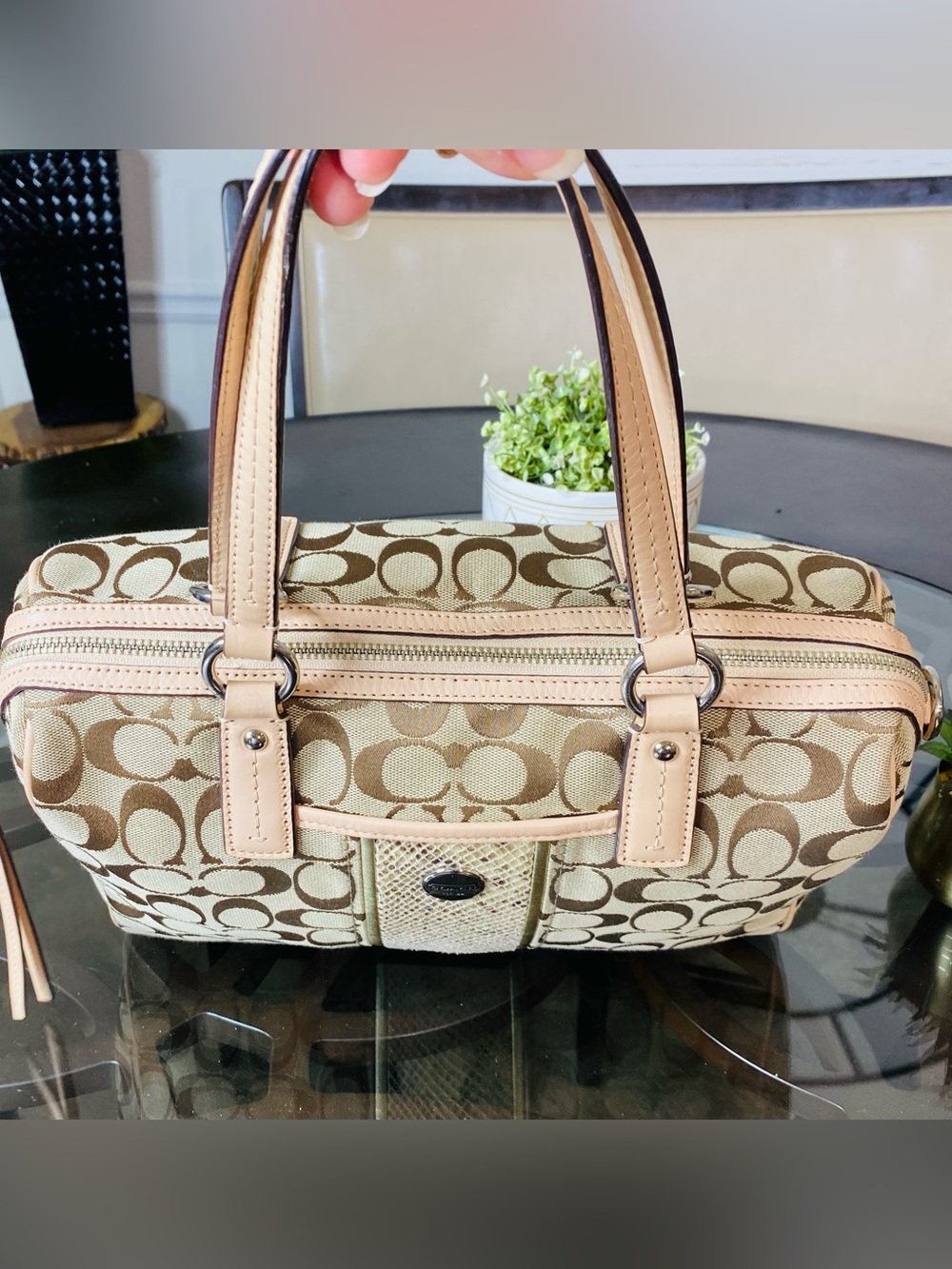 COACH Signature Khaki Jacquard Python Stripe Satchel Handbag F24884 - Picture 7 of 13